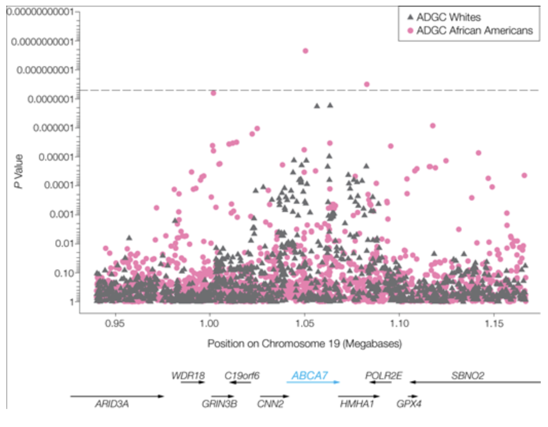 Variants in the ATP-Binding Cassette Transporter ABCA7 , Apolipoprotein E ϵ4, and the Risk of Late-Onset Alzheimer Disease in African Americans