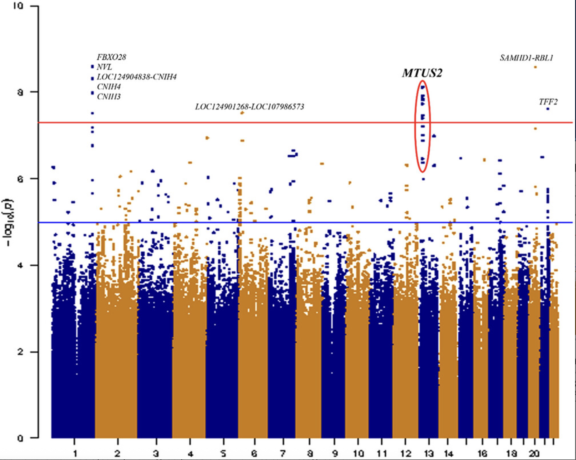 Whole genome wide sequence analysis of long lived families Long Life Family Study identifies i MTUS2 i gene associated with late onset Alzheimer s disease