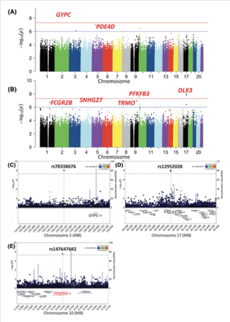 Genome wide association analyses identify candidate loci for amyloid imaging and plasma biomarkers in adults with Down syndrome