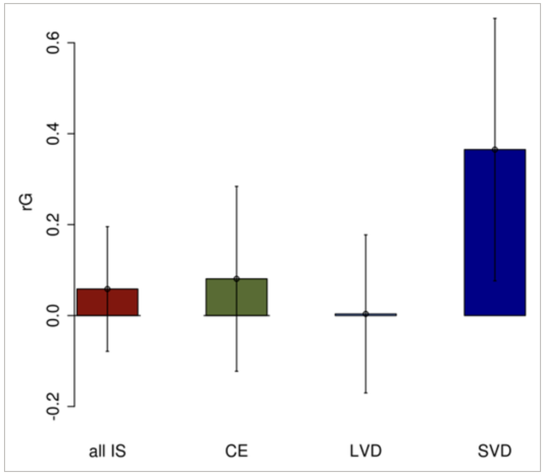 Shared genetic contribution to ischemic stroke and Alzheimer s disease