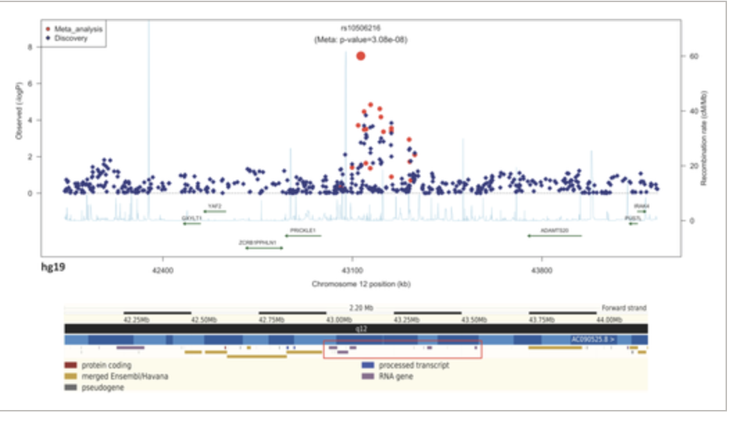Identification of a New Susceptibility Locus for Systemic Lupus Erythematosus on Chromosome 12 in Individuals of European Ancestry