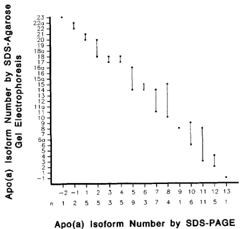 Apolipoprotein a : A comparison of isoforms identified by sodium dodecyl sulfate polyacrylamide gel electrophoresis or by sodium dodecyl sulfate agarose gel electrophoresis