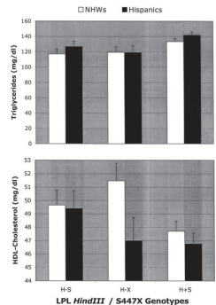 Genetic screening of the lipoprotein lipase gene for mutations associated with high triglyceride low HDL-cholesterol levels