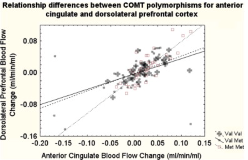 The catechol-o-methyltransferase Val158Met polymorphism modulates organization of regional cerebral blood flow response to working memory in adults