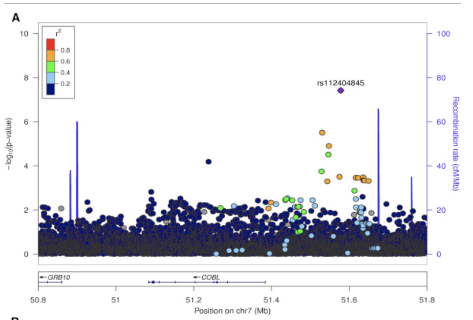 Two novel loci, i COBL i and i SLC10A2 i , for Alzheimer s disease in African Americans