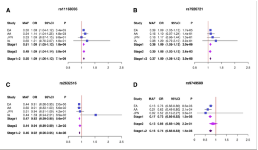 Transethnic genome wide scan identifies novel Alzheimer s disease loci