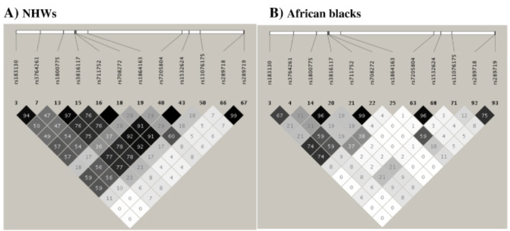 Resequencing of the CETP gene in American whites and African blacks: Association of rare and common variants with HDL-cholesterol levels