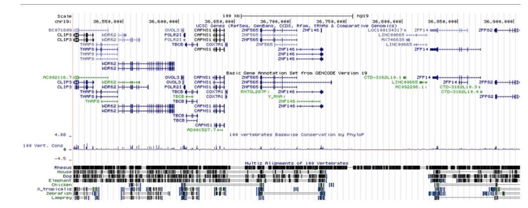 Genetic variants associated with susceptibility to psychosis in late-onset Alzheimer s disease families