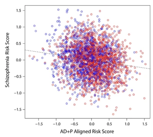 Genetic risk for schizophrenia and psychosis in Alzheimer disease