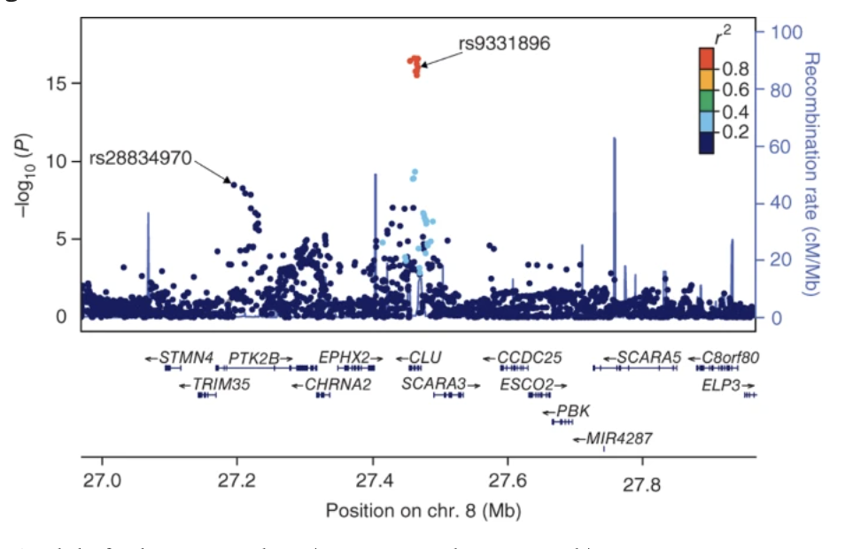 Meta-analysis of 74,046 individuals identifies 11 new susceptibility loci for Alzheimer s disease