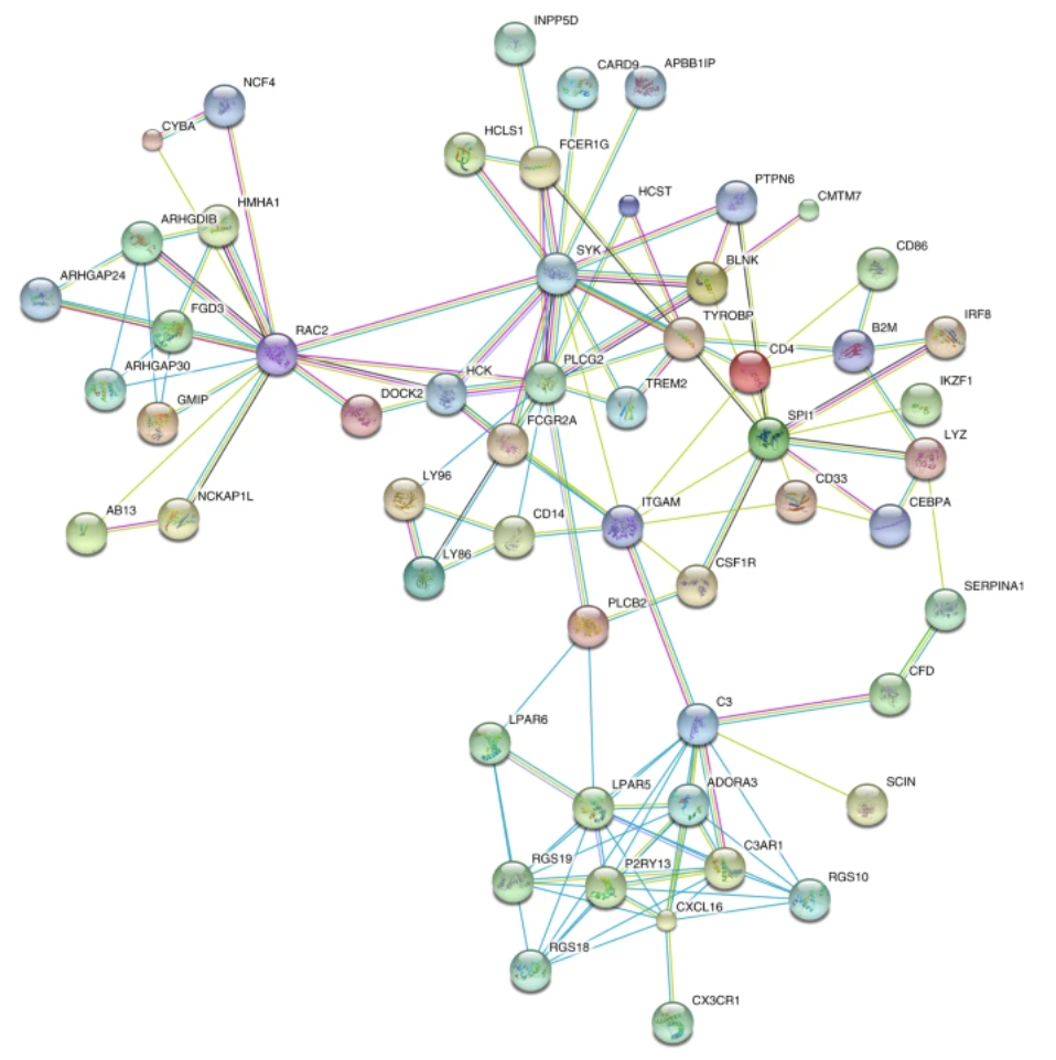 Rare coding variants in PLCG2, ABI3, and TREM2 implicate microglial-mediated innate immunity in Alzheimer s disease