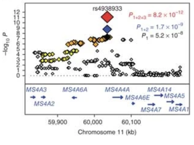 Common variants at MS4A4 MS4A6E, CD2AP, CD33 and EPHA1 are associated with late-onset Alzheimer s disease