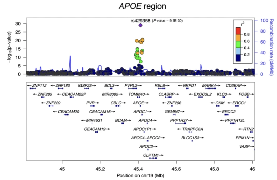 Genome-wide association study of brain amyloid deposition as measured by Pittsburgh Compound-B PiB -PET imaging