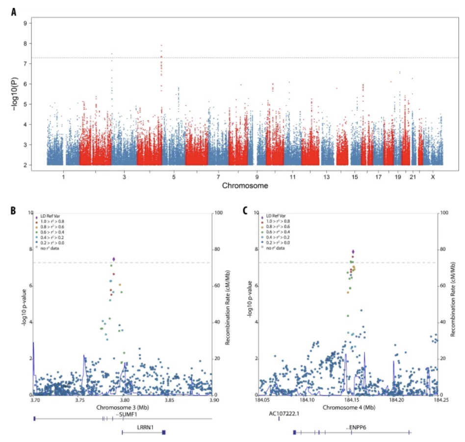Genome-wide association identifies the first risk loci for psychosis in Alzheimer disease
