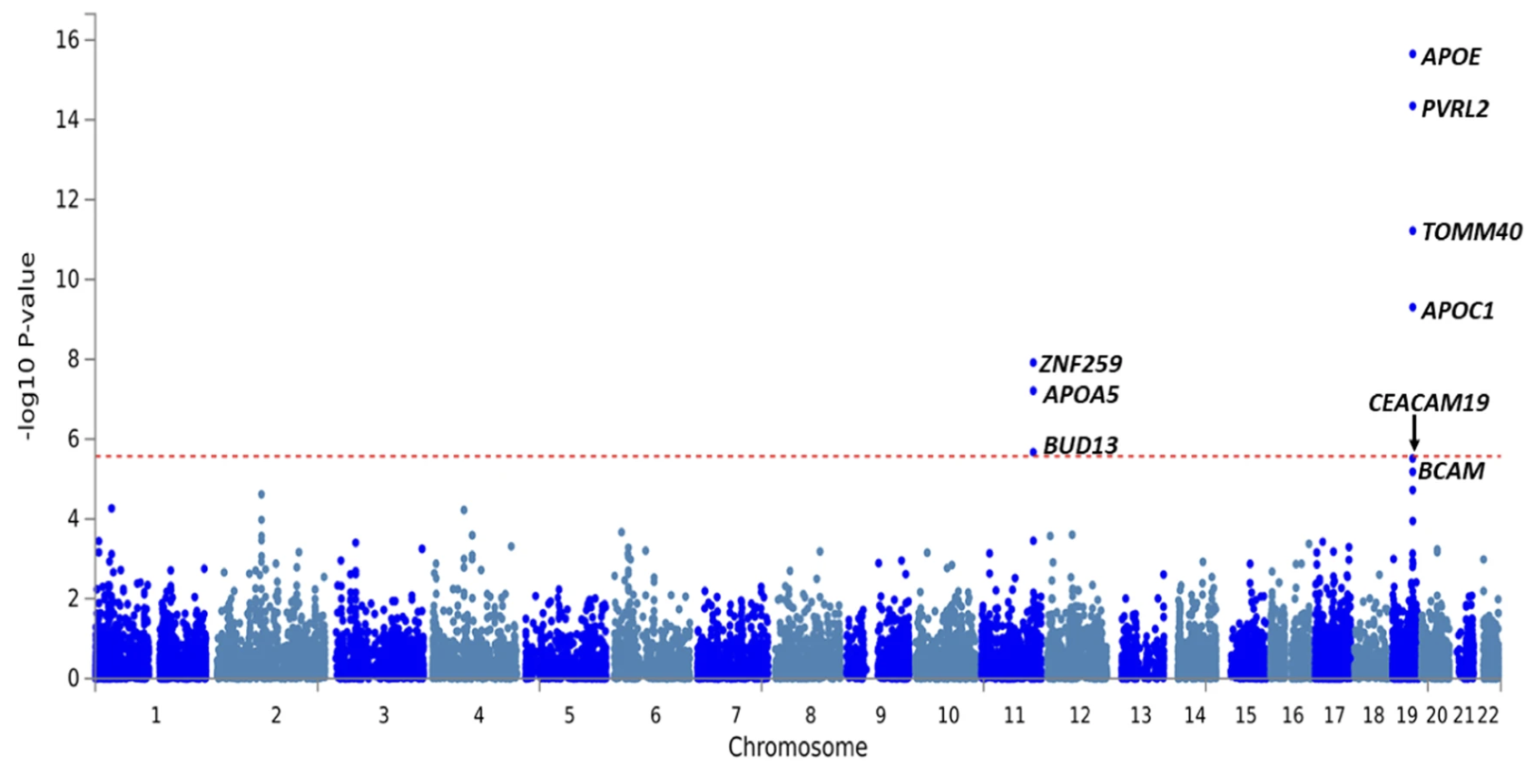 Genome-wide analysis identifies novel loci influencing plasma apolipoprotein E concentration and Alzheimer s disease risk