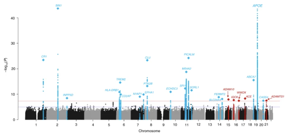 Genetic meta-analysis of diagnosed Alzheimer s disease identifies new risk loci and implicates Aβ, tau, immunity and lipid processing