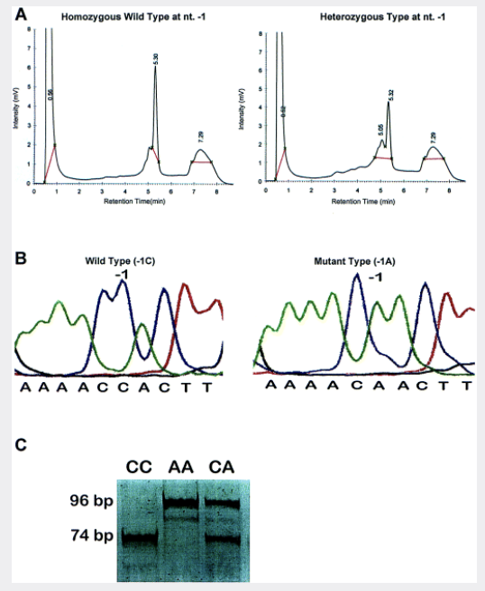 A functional polymorphism at the transcriptional initiation site in β sub 2 sub glycoprotein I apolipoprotein H associated with reduced gene expression and lower plasma levels of β sub 2 sub glycoprotein I