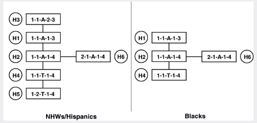 Cladistic Analysis of Human Apolipoprotein A4 Polymorphisms in Relation to Quantitative Plasma Lipid Risk Factors of Coronary Heart Disease