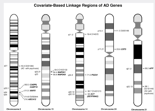 Molecular Genetics of Late Onset Alzheimer s Disease