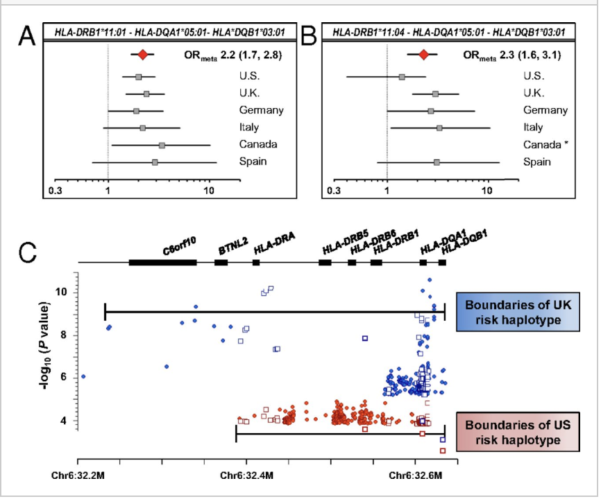 i HLA-DRB1 11 i and variants of the MHC class II locus are strong risk factors for systemic juvenile idiopathic arthritis