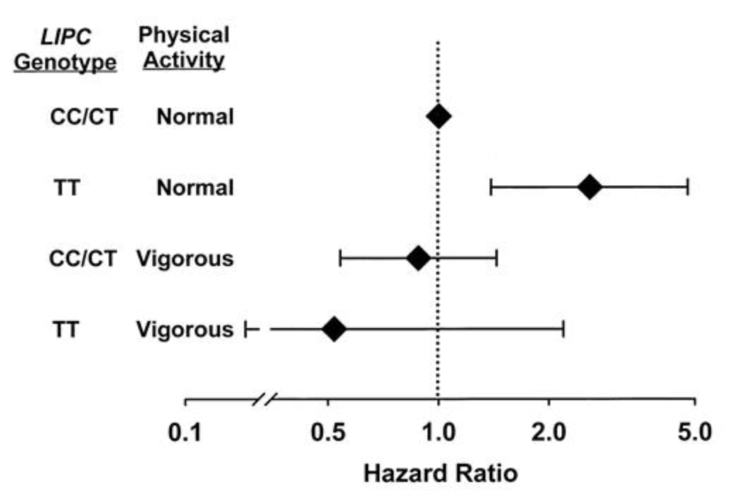 Effects of the Hepatic Lipase Gene and Physical Activity on Coronary Heart Disease Risk