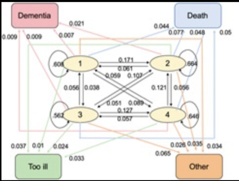 Predictors of Dementia in the Oldest Old