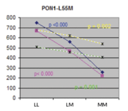 Genetic Variation in the i Paraoxonase 3 PON3 i Gene is Associated with Serum PON1 Activity