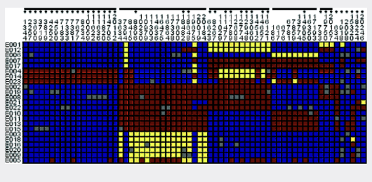 Complete DNA Sequence Variation in the Apolipoprotein H b β b sub b 2 b sub glycoprotein I Gene and Identification of Informative SNPs