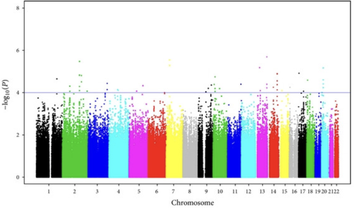 Genome-Wide Association Study of Antiphospholipid Antibodies