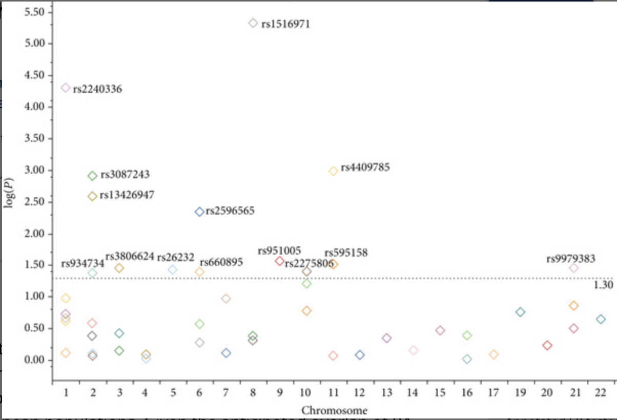 Investigating the GWAS-Implicated Loci for Rheumatoid Arthritis in the Pakistani Population