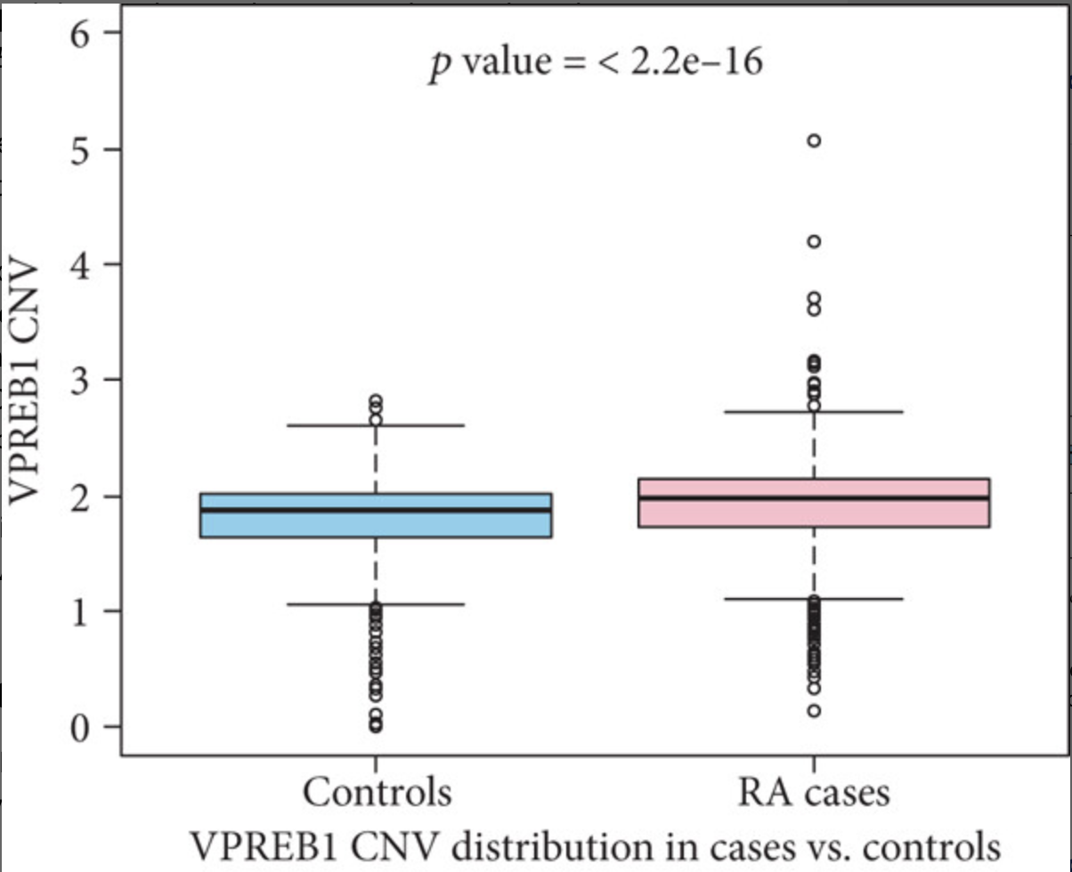 Association of i VPREB1 i Gene Copy Number Variation and Rheumatoid Arthritis Susceptibility