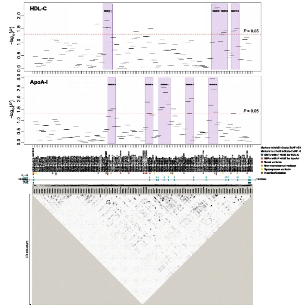 Genetic contribution of SCARB1 variants to lipid traits in African Blacks: a candidate gene association study