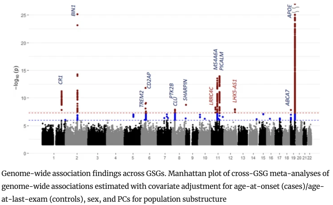 Multi-ancestry genome-wide meta-analysis of 56,241 individuals identifies known and novel cross-population and ancestry-specific associations as novel risk loci for Alzheimer s disease