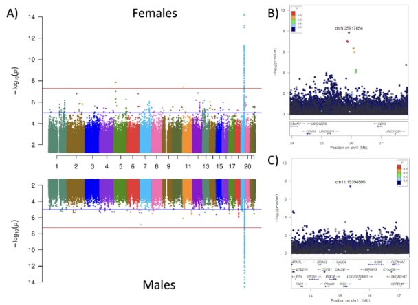 Large multi-ethnic genetic analyses of amyloid imaging identify new genes for Alzheimer disease