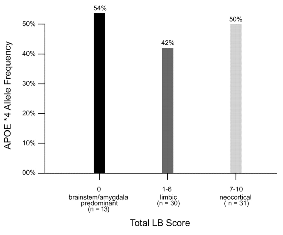 Genetic association between the i APOE i i 4 i allele and Lewy bodies in Alzheimer disease