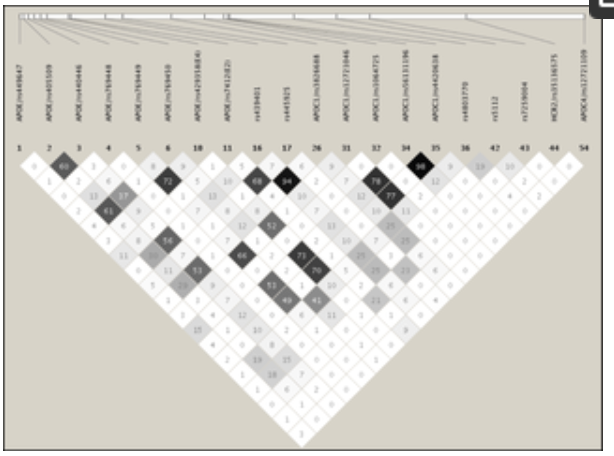 Apolipoprotein E-C1-C4-C2 gene cluster region and inter-individual variation in plasma lipoprotein levels: a comprehensive genetic association study in two ethnic groups