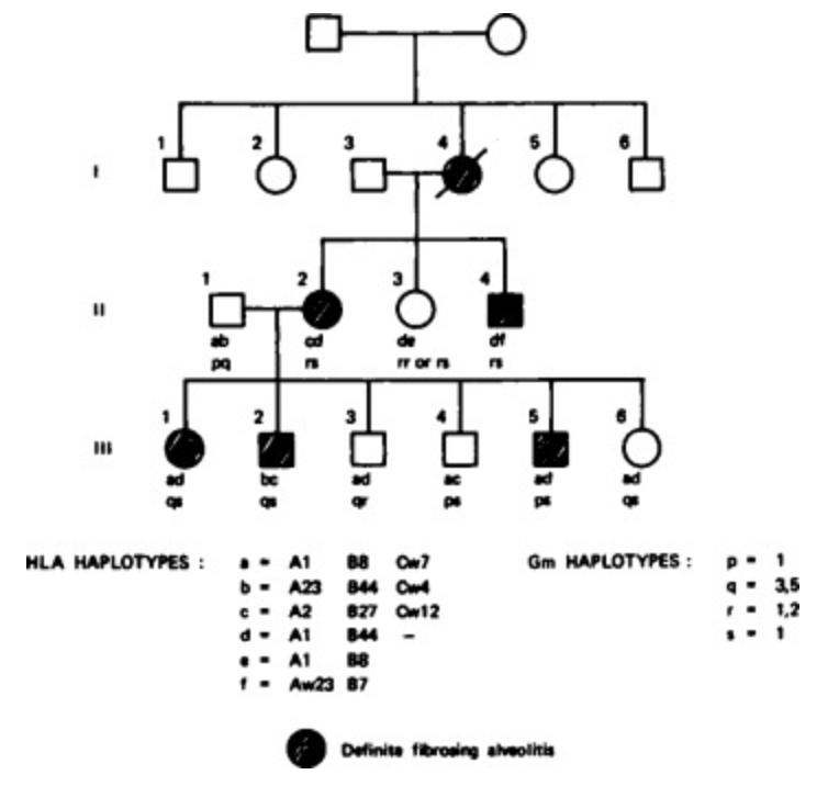 Genetic Studies in Familial Fibrosing Alveolitis