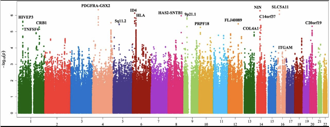 Lupus Nephritis Susceptibility Loci in Women with Systemic Lupus Erythematosus