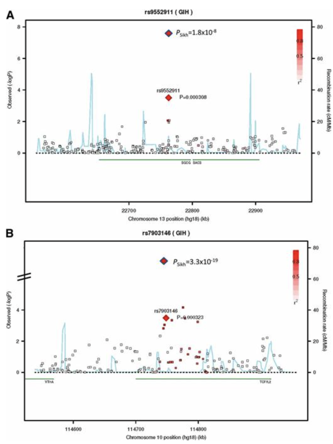 Genome-Wide Association Study Identifies a Novel Locus Contributing to Type 2 Diabetes Susceptibility in Sikhs of Punjabi Origin From India