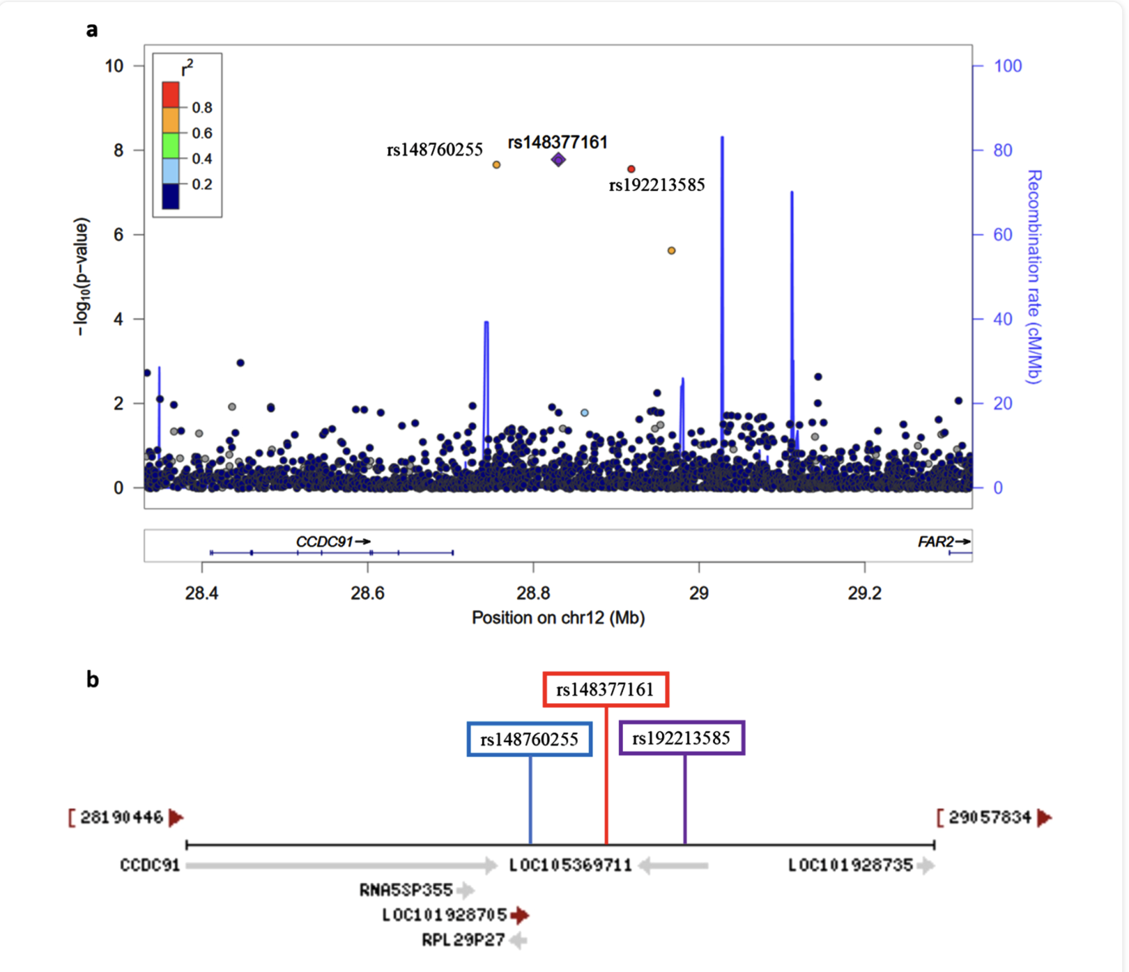 Genome-Wide Association Study of Incident Dementia in a Community-Based Sample of Older Subjects