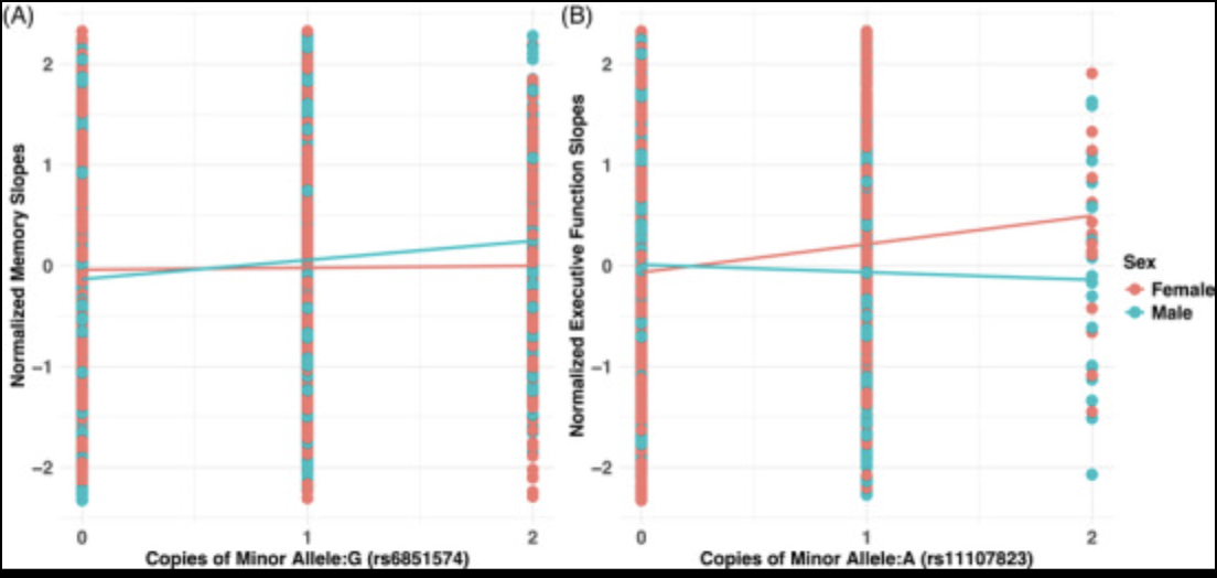Search for the Alzheimers Genes